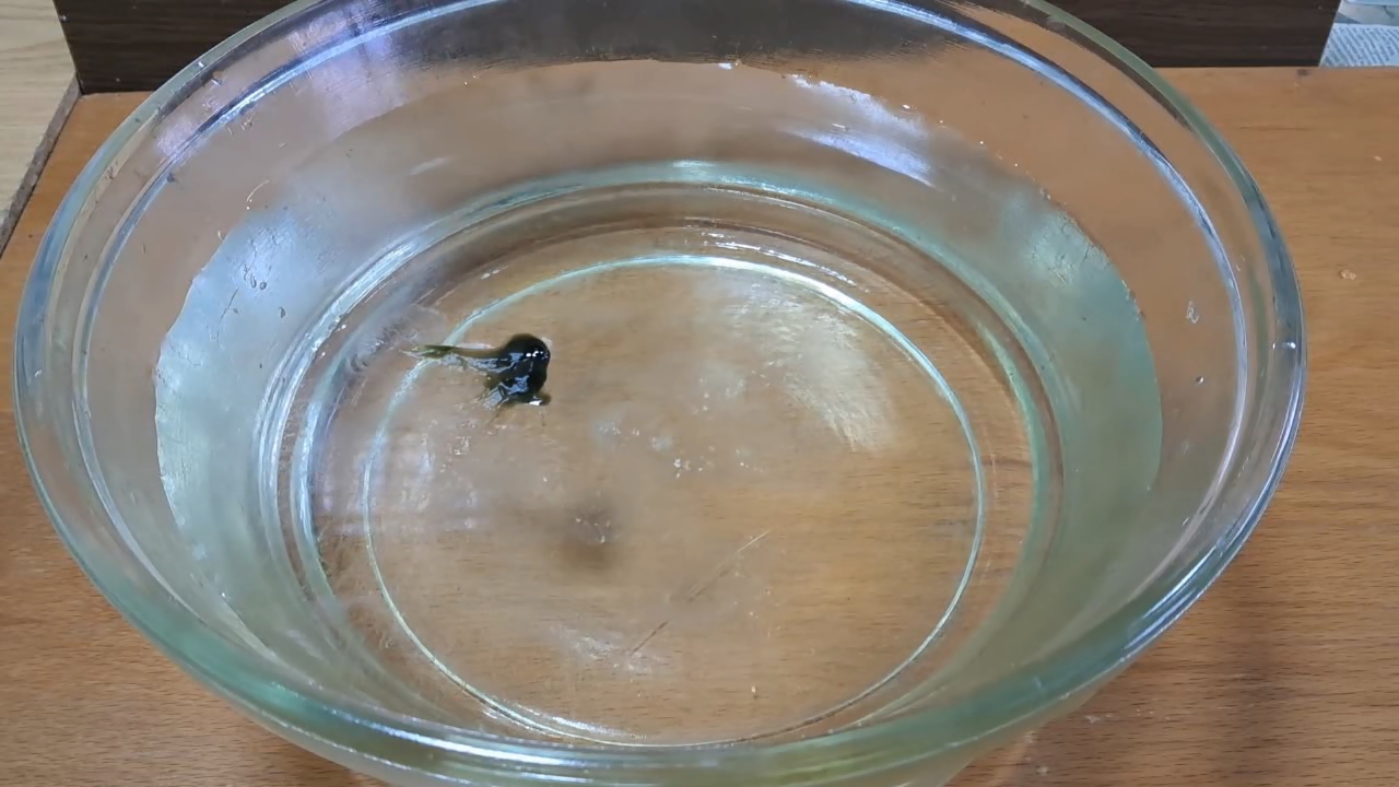 Nitrocellulose Amoeba (Low-Quality Acetone)