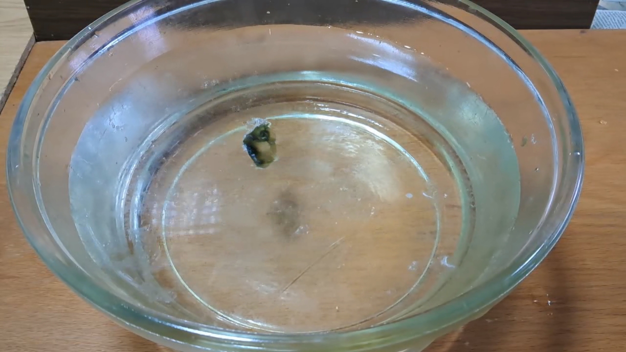 Nitrocellulose Amoeba (Low-Quality Acetone)