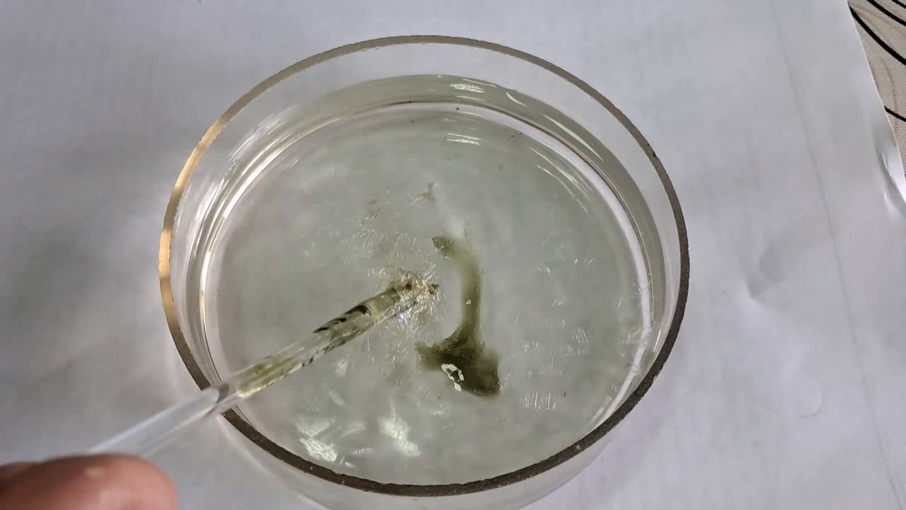 Nitrocellulose Amoeba (Trial Experiment)
