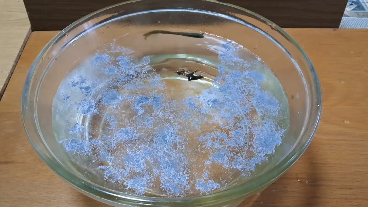 Nitrocellulose Amoeba and Aluminum Powder