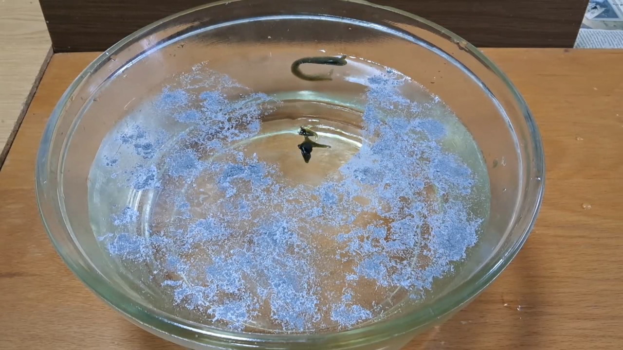 Nitrocellulose Amoeba and Aluminum Powder