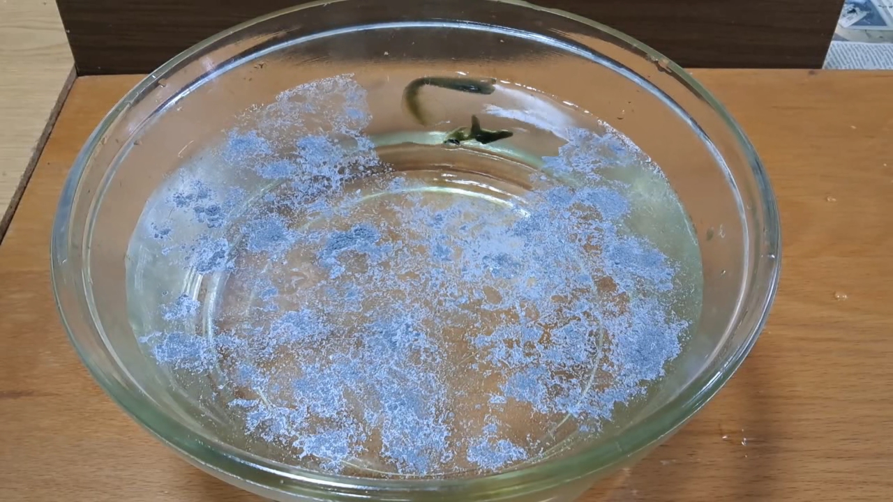 Nitrocellulose Amoeba and Aluminum Powder