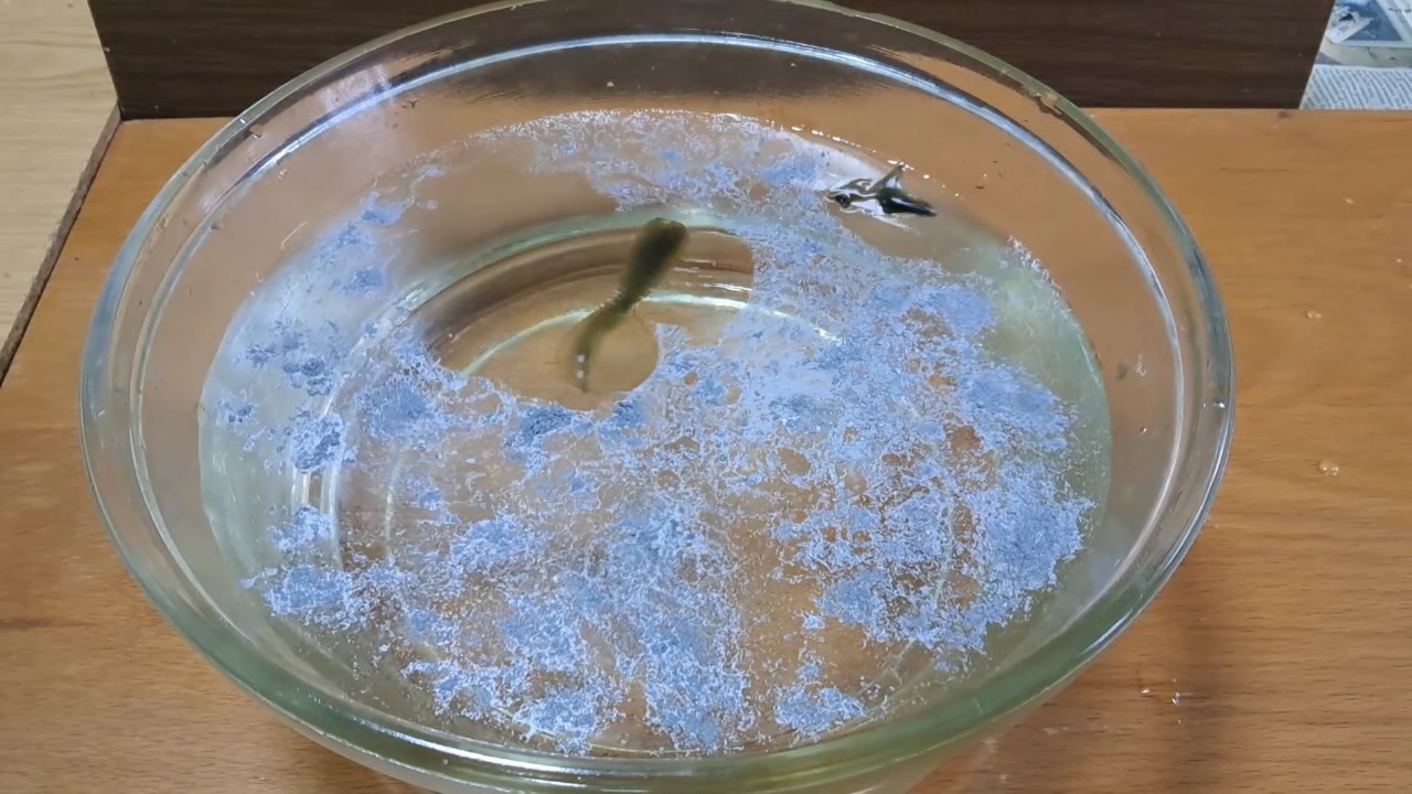Nitrocellulose Amoeba and Aluminum Powder