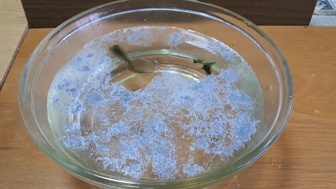 Nitrocellulose Amoeba and Aluminum Powder