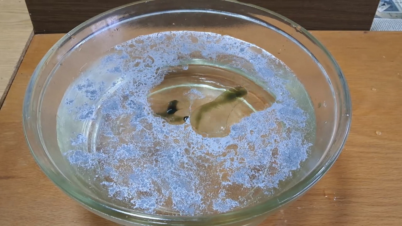Nitrocellulose Amoeba and Aluminum Powder
