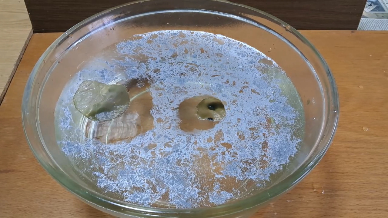 Nitrocellulose Amoeba and Aluminum Powder