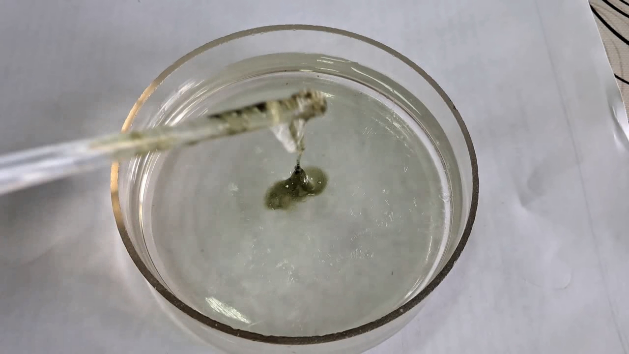 Nitrocellulose Amoeba (Trial Experiment)