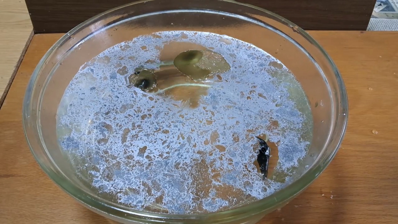 Nitrocellulose Amoeba and Aluminum Powder
