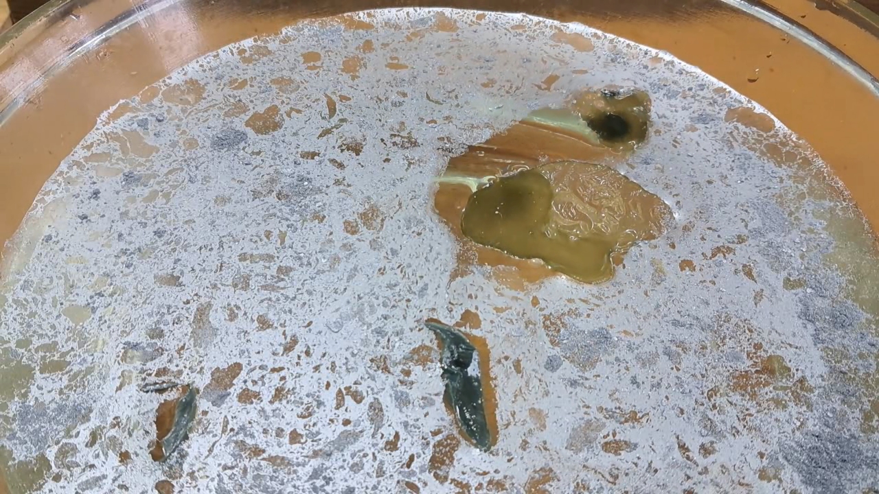 Nitrocellulose Amoeba and Aluminum Powder