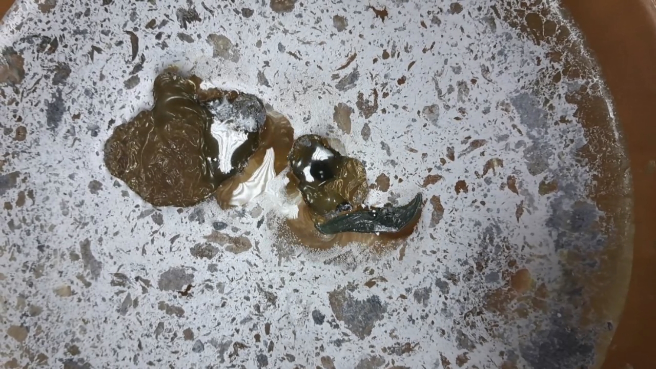 Nitrocellulose Amoeba and Aluminum Powder