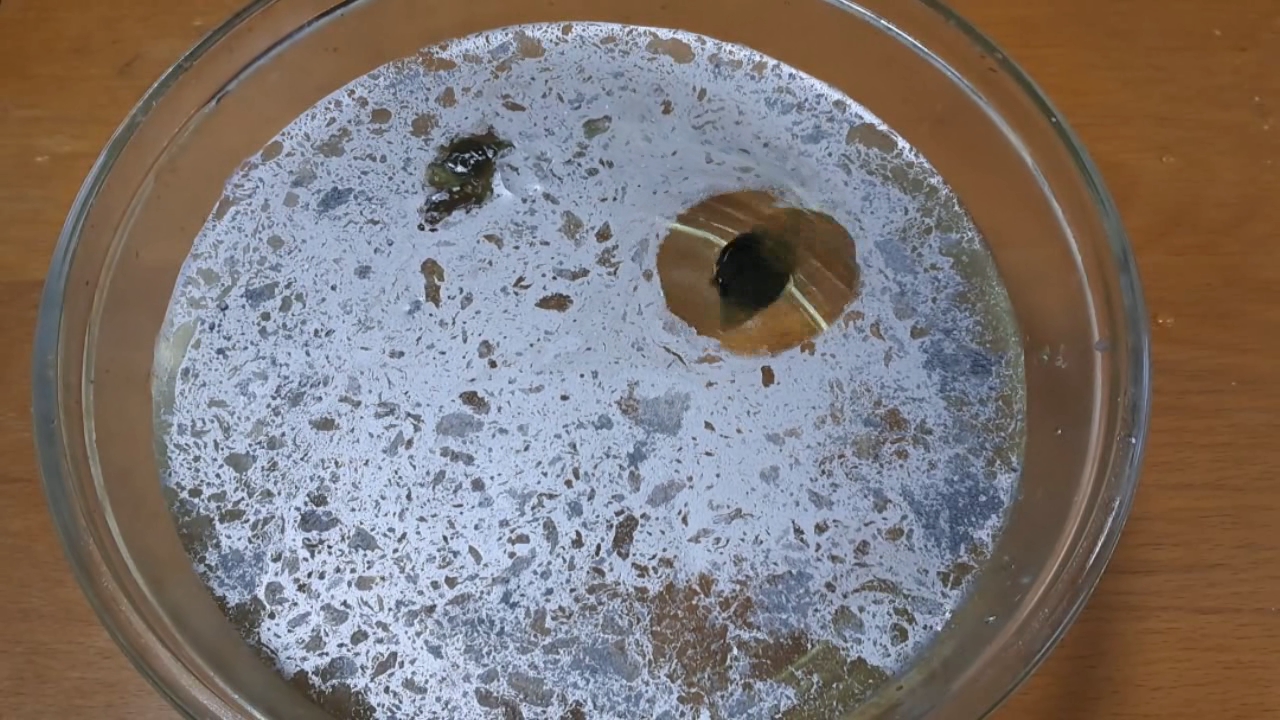 Nitrocellulose Amoeba and Aluminum Powder