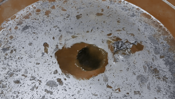 Nitrocellulose Amoeba and Aluminum Powder