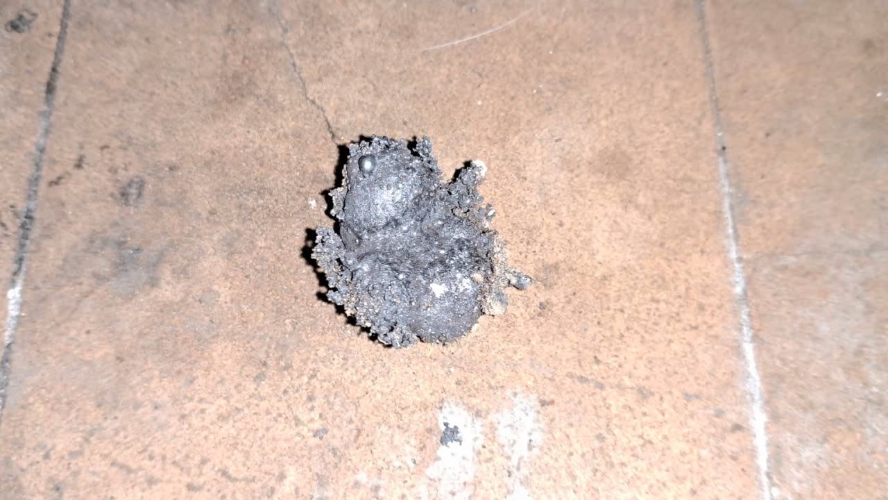 Combustion of Thermite: Iron(II, III) Oxide/Aluminum (Fe3O4/Al)