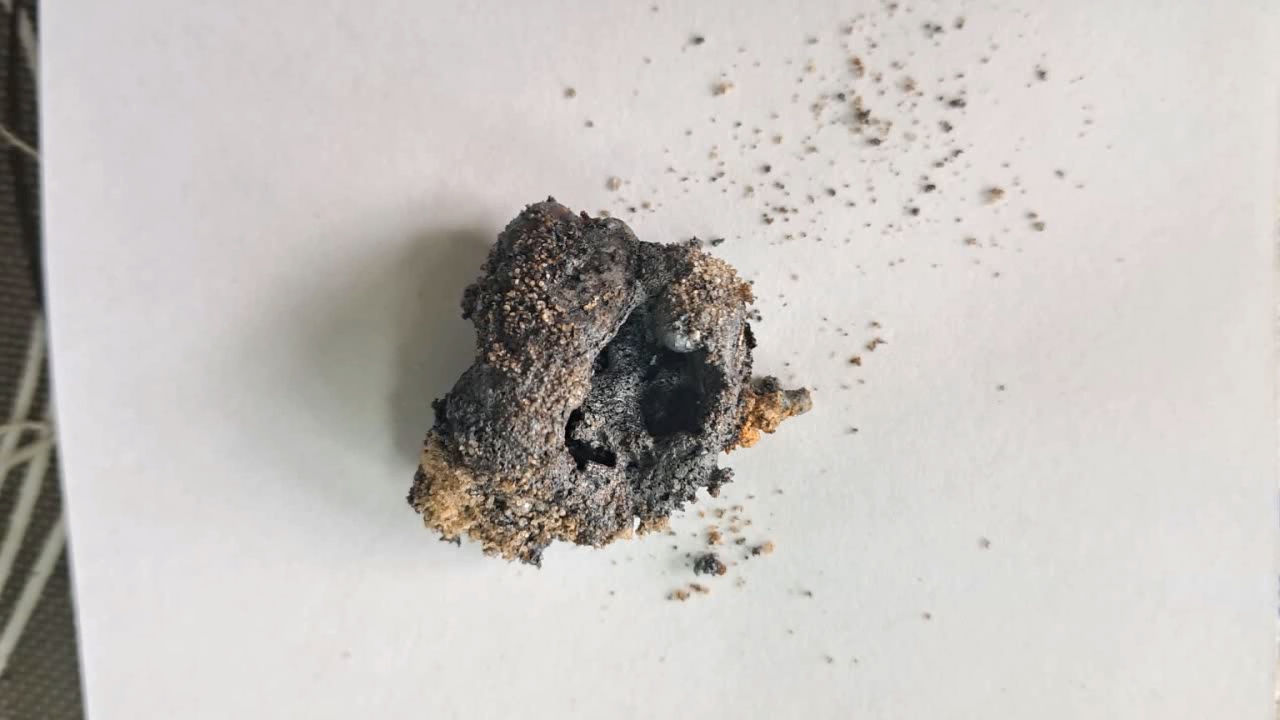 Combustion of Thermite: Iron(II, III) Oxide/Aluminum (Fe3O4/Al)