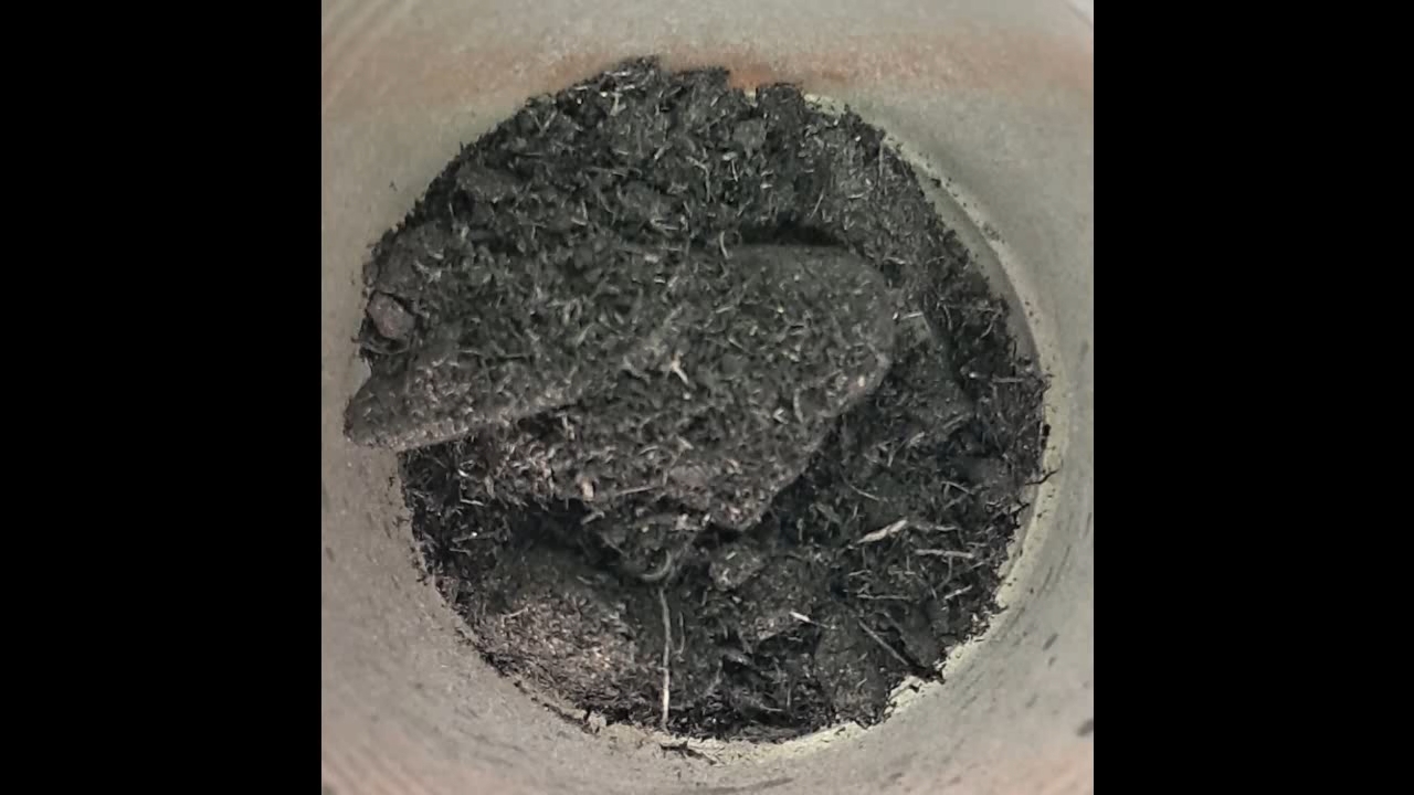 Combustion of Thermite: Fe3O4 + KNO3 + Al (waste) + S - Part 7