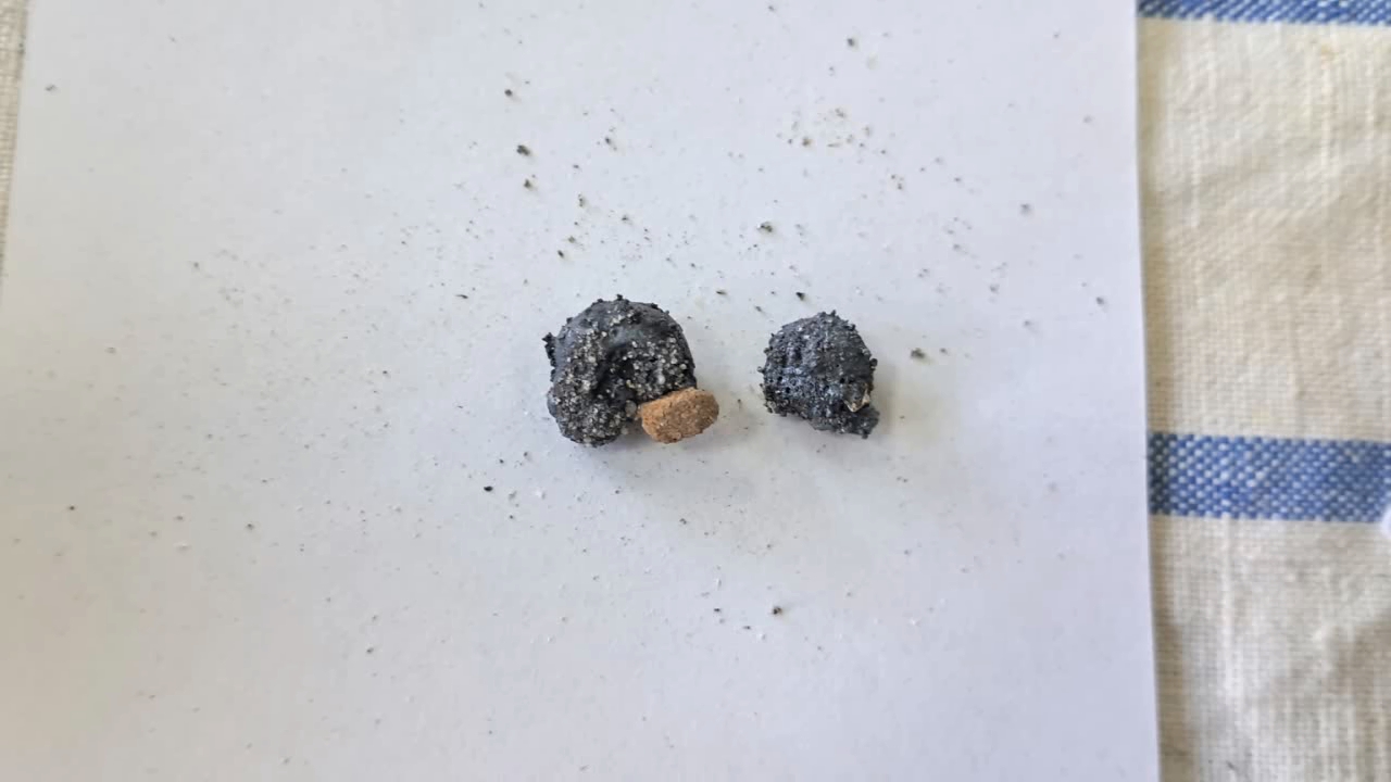 Combustion of Thermite: Iron(II, III) Oxide/Aluminum (Fe3O4/Al)