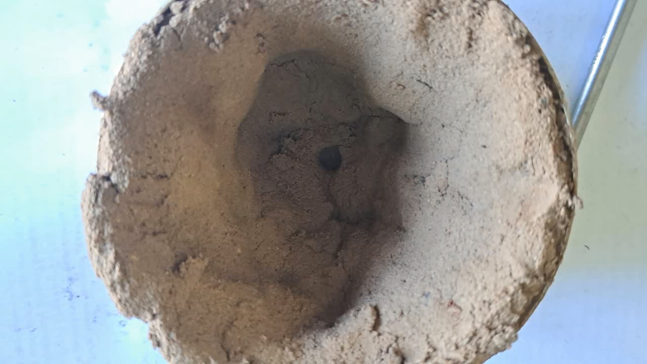 Combustion of Thermite: Iron(II, III) Oxide/Aluminum (Fe3O4/Al)