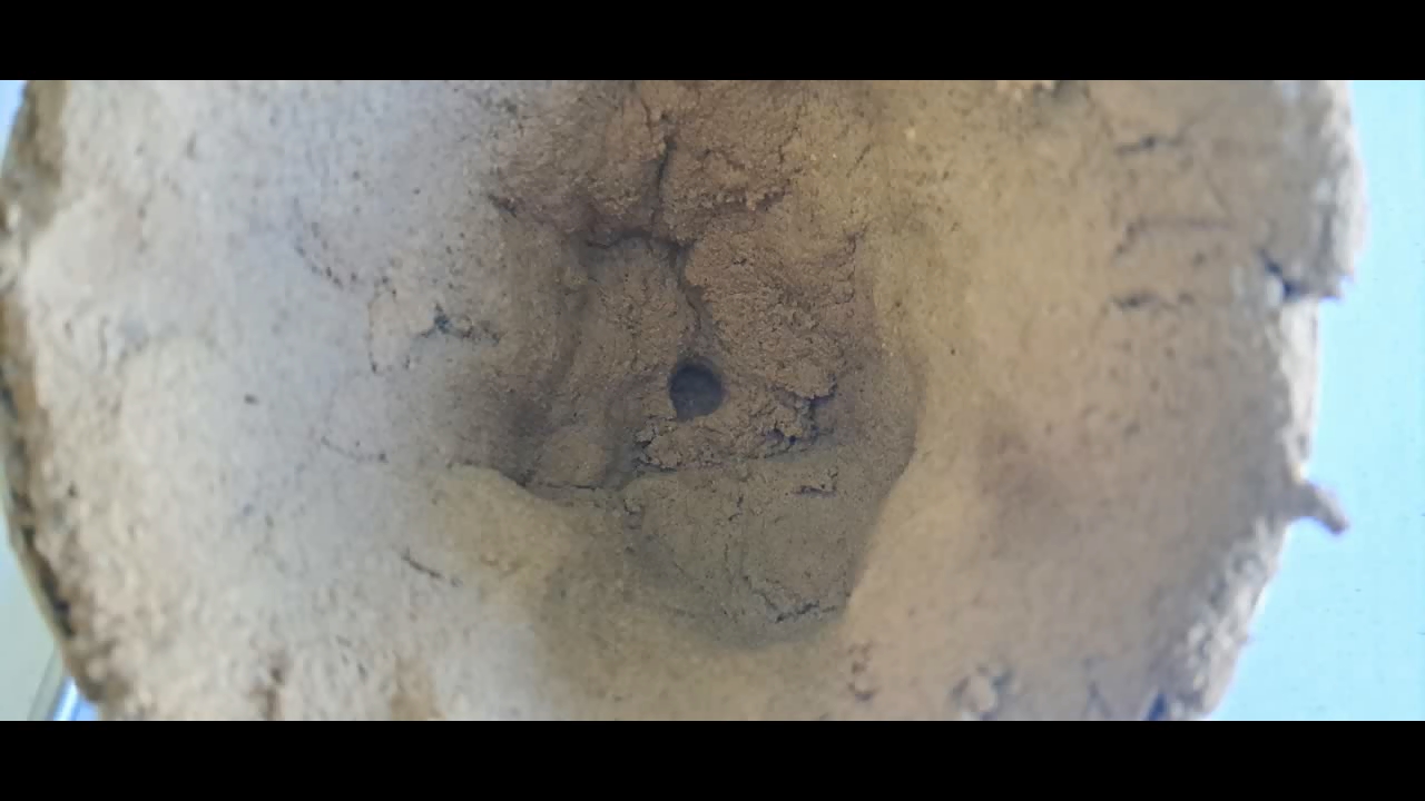 Combustion of Thermite: Iron(II, III) Oxide/Aluminum (Fe3O4/Al)