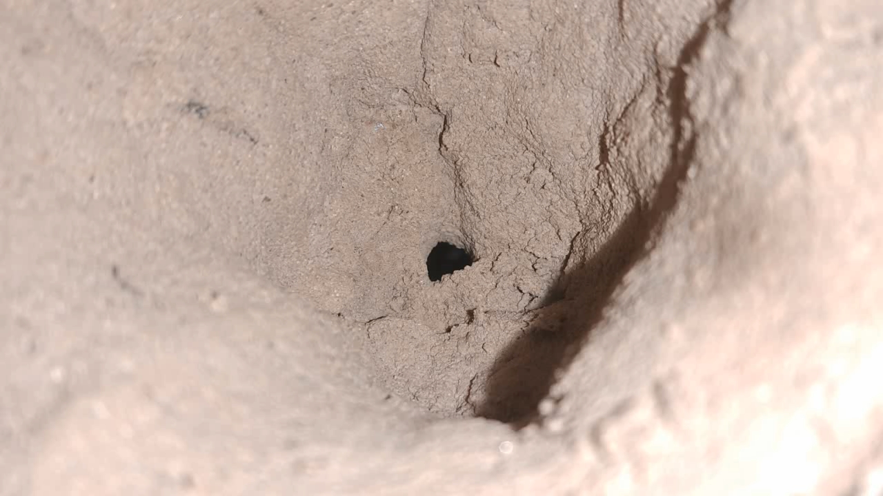 Combustion of Thermite: Iron(II, III) Oxide/Aluminum (Fe3O4/Al)