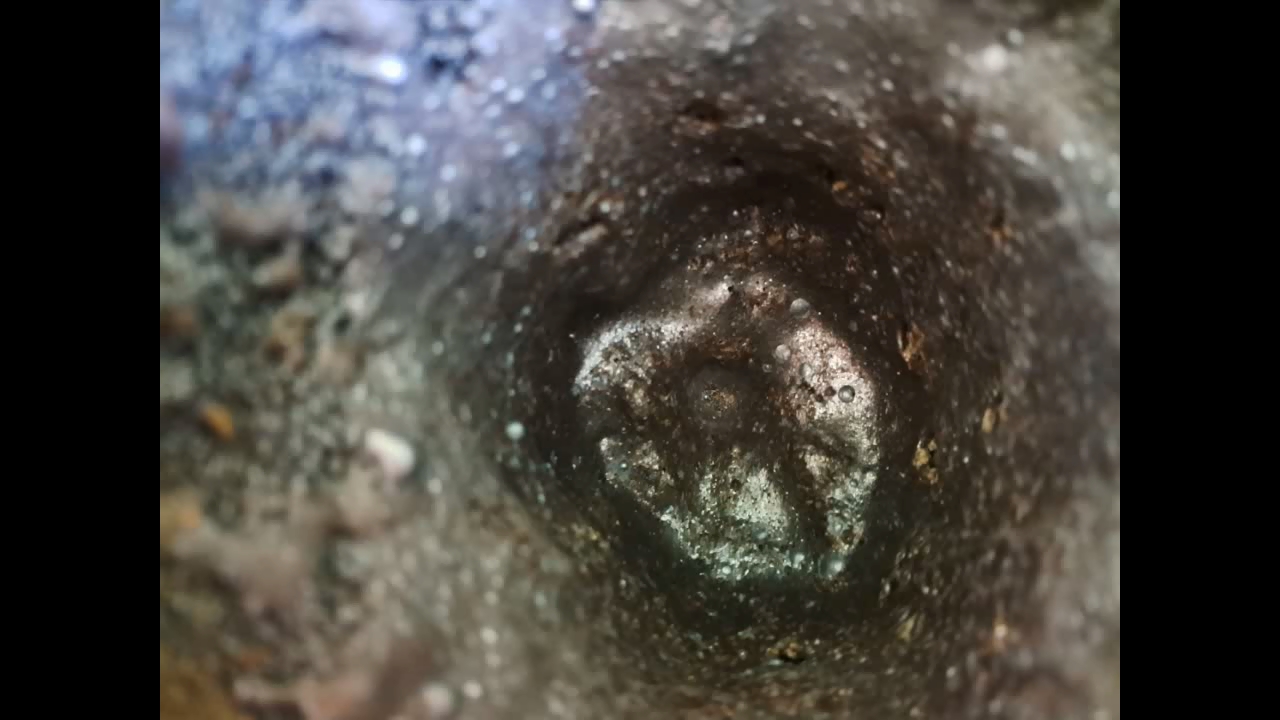 Combustion of Thermite: Iron(II, III) Oxide/Aluminum (Fe3O4/Al)