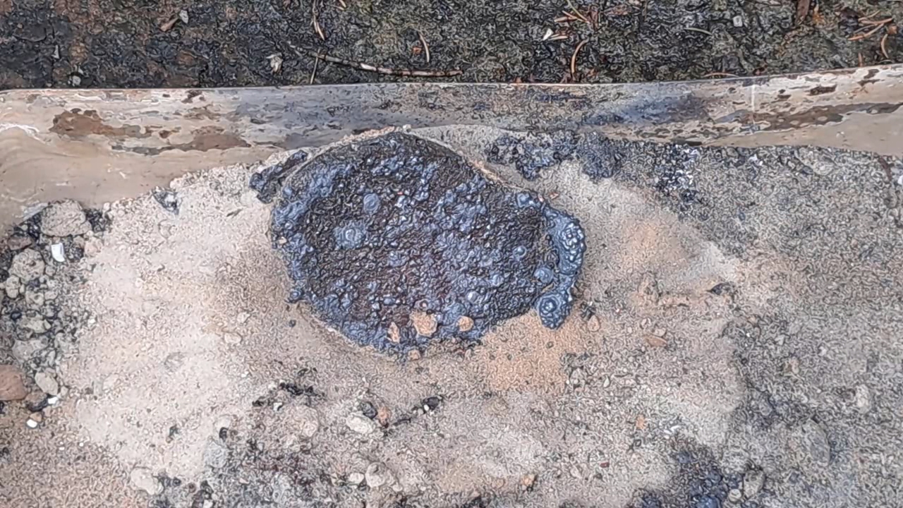 Combustion of Thermite: Iron(II, III) Oxide/Aluminum (Fe3O4/Al)