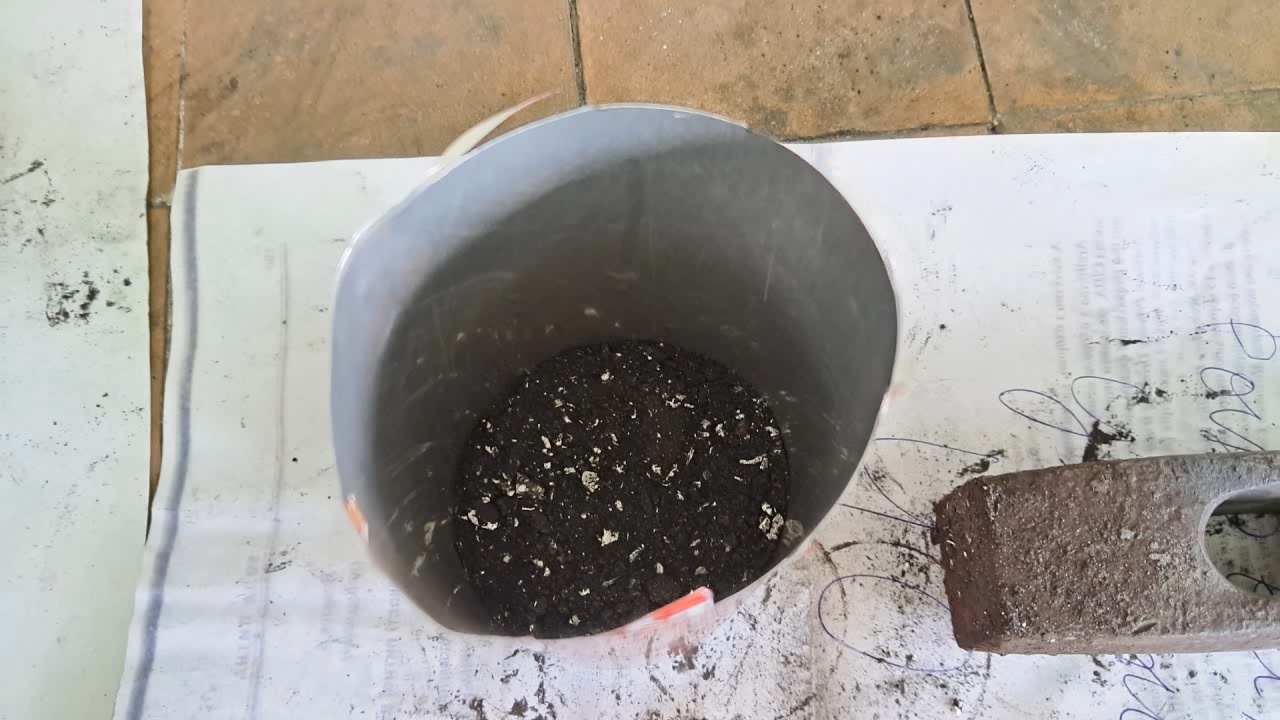 Combustion of Thermite: Iron(II, III) Oxide/Aluminum/Magnesium (Fe3O4/Al/Mg)