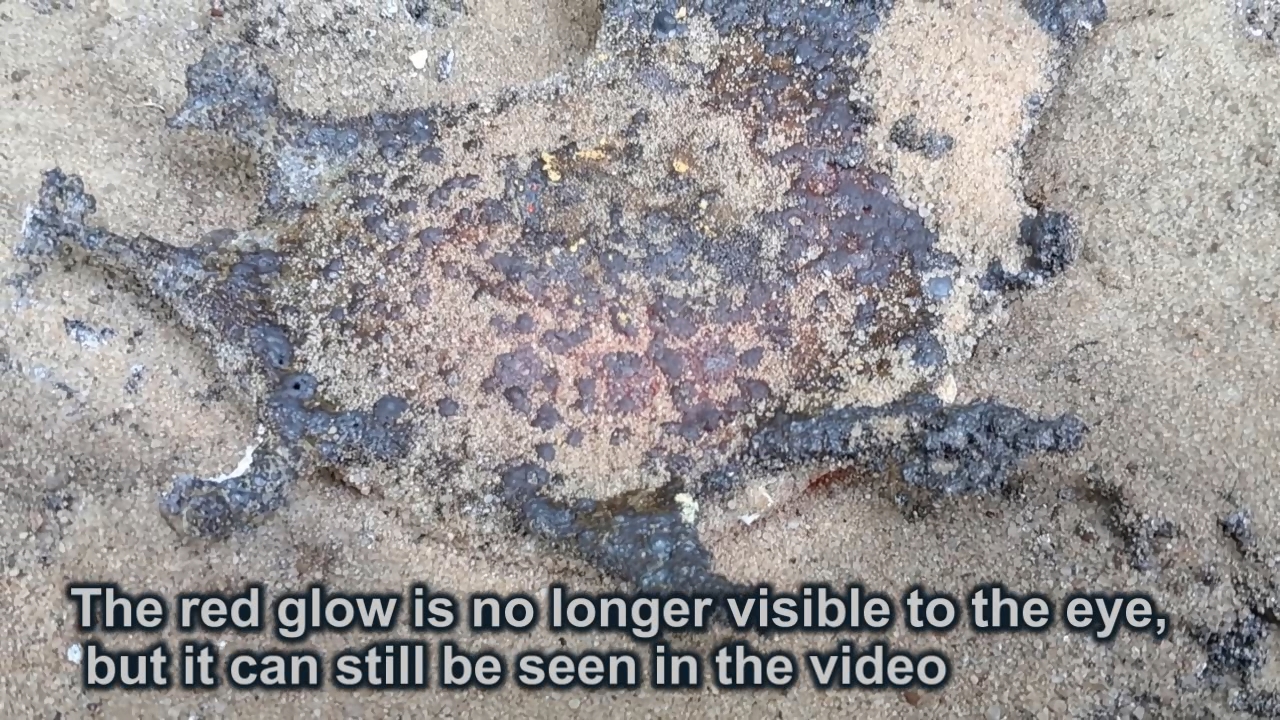 Combustion of Thermite: Iron(II, III) Oxide/Aluminum/Magnesium (Fe3O4/Al/Mg)