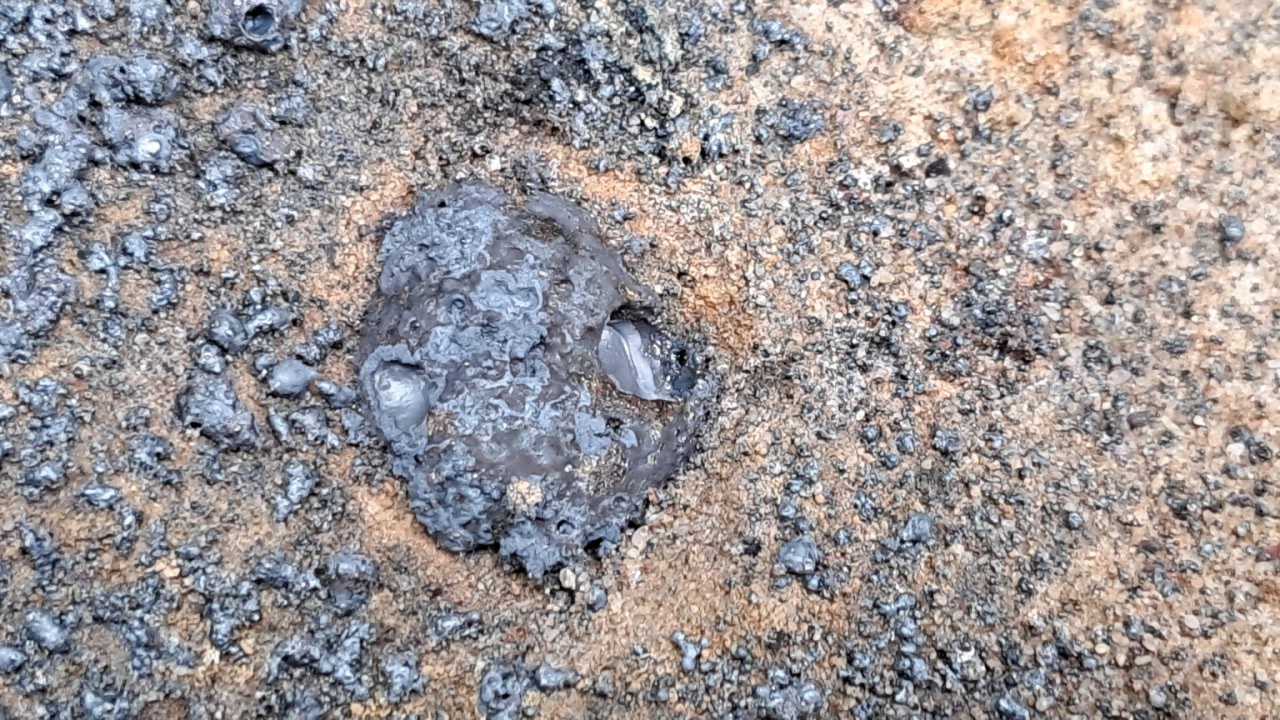 ''Molded Thermite'': Iron (II, III) Oxide, Calcium Sulfate, Aluminum, and Water (Fe3O4/CaSO4/Al/H2O)