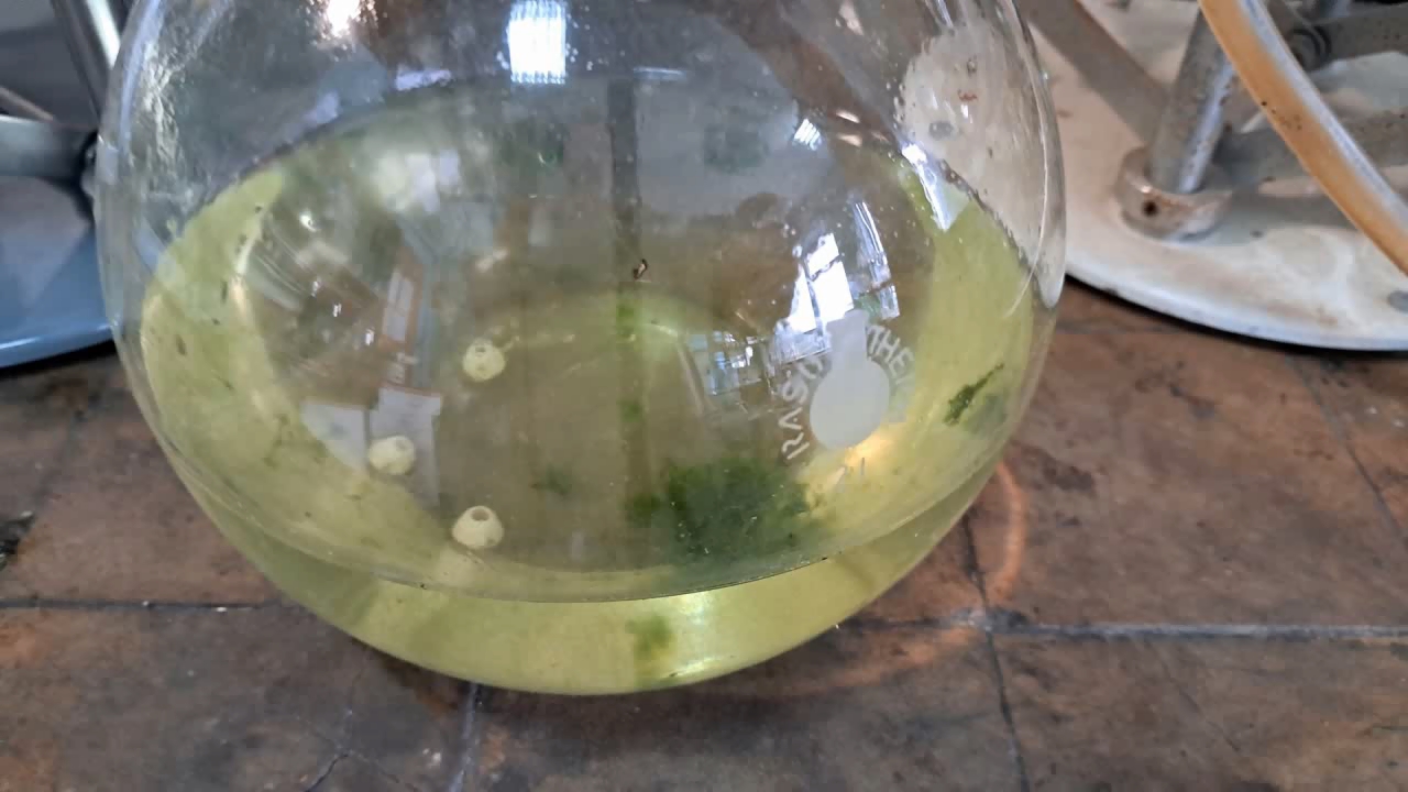 Distillation of Tritiated Water (HTO)