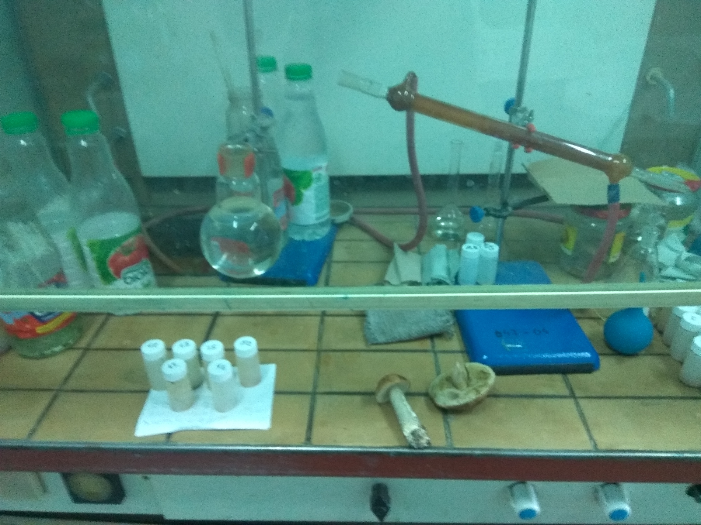 Tritium Determination