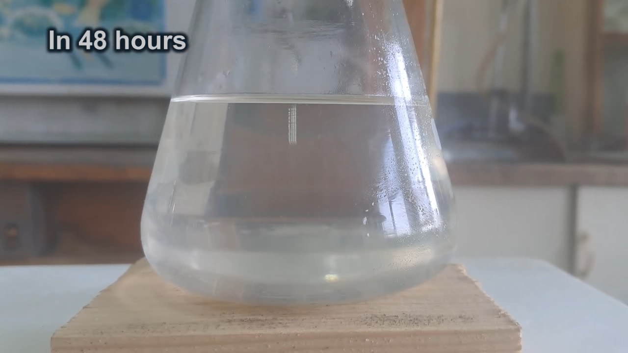 Ethyl Acetate and Saturated Potassium Hydroxide Solution: Unusual Effect of Concentration on Rate of Chemical Reaction
