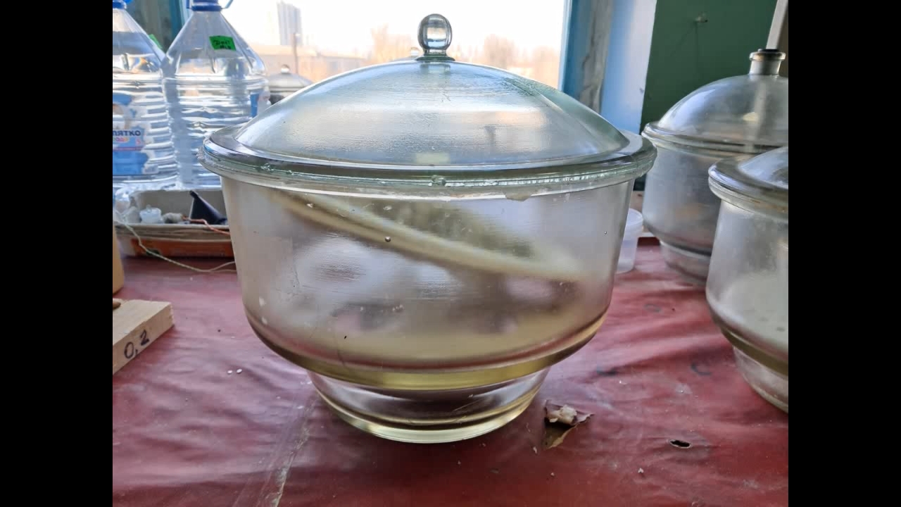 Zeolite Absorbs Water: Visualization