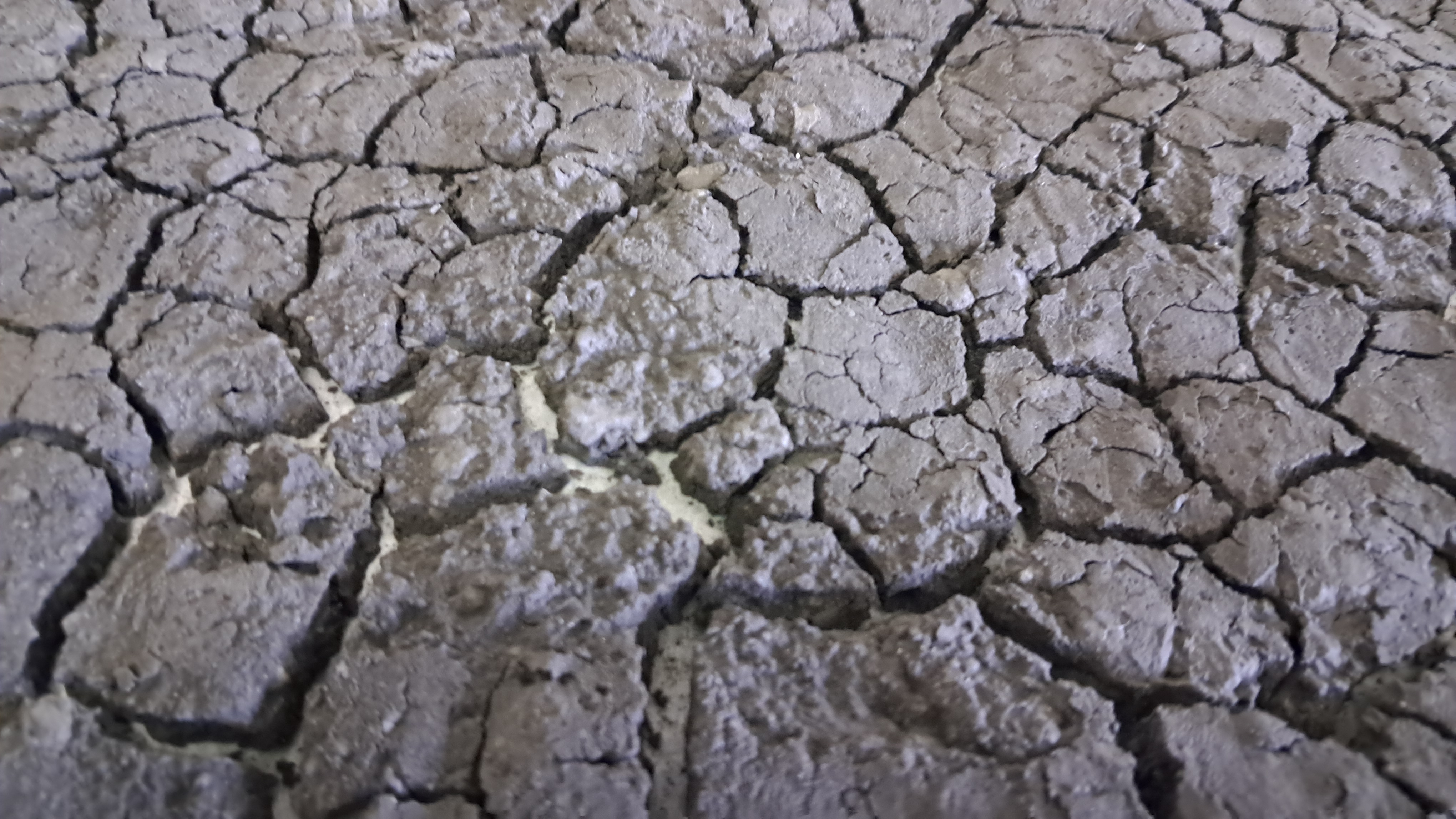 Drying of Fine Aluminum Powder