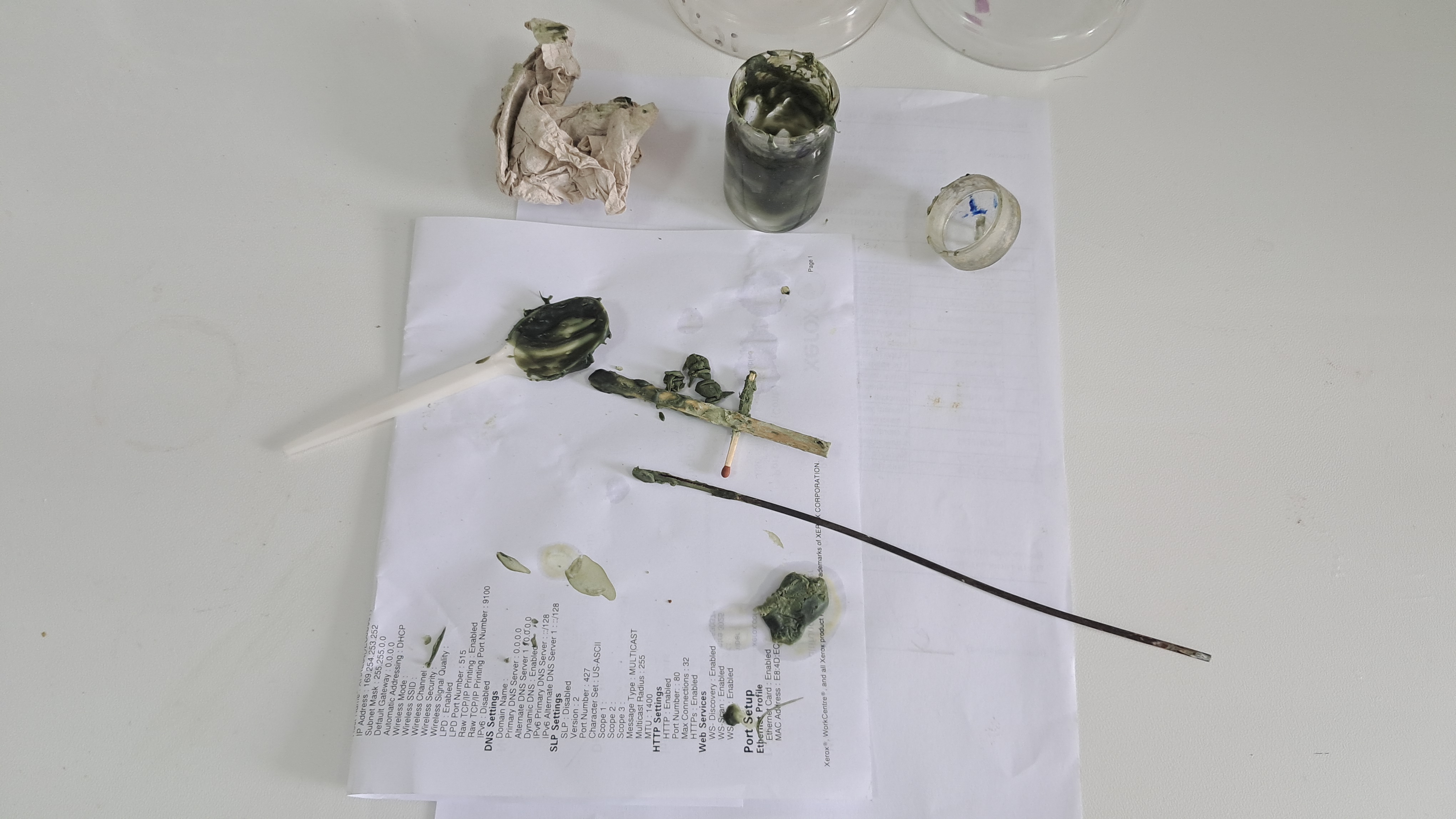 Nitrocellulose Amoeba and Nitrocellulose Worm