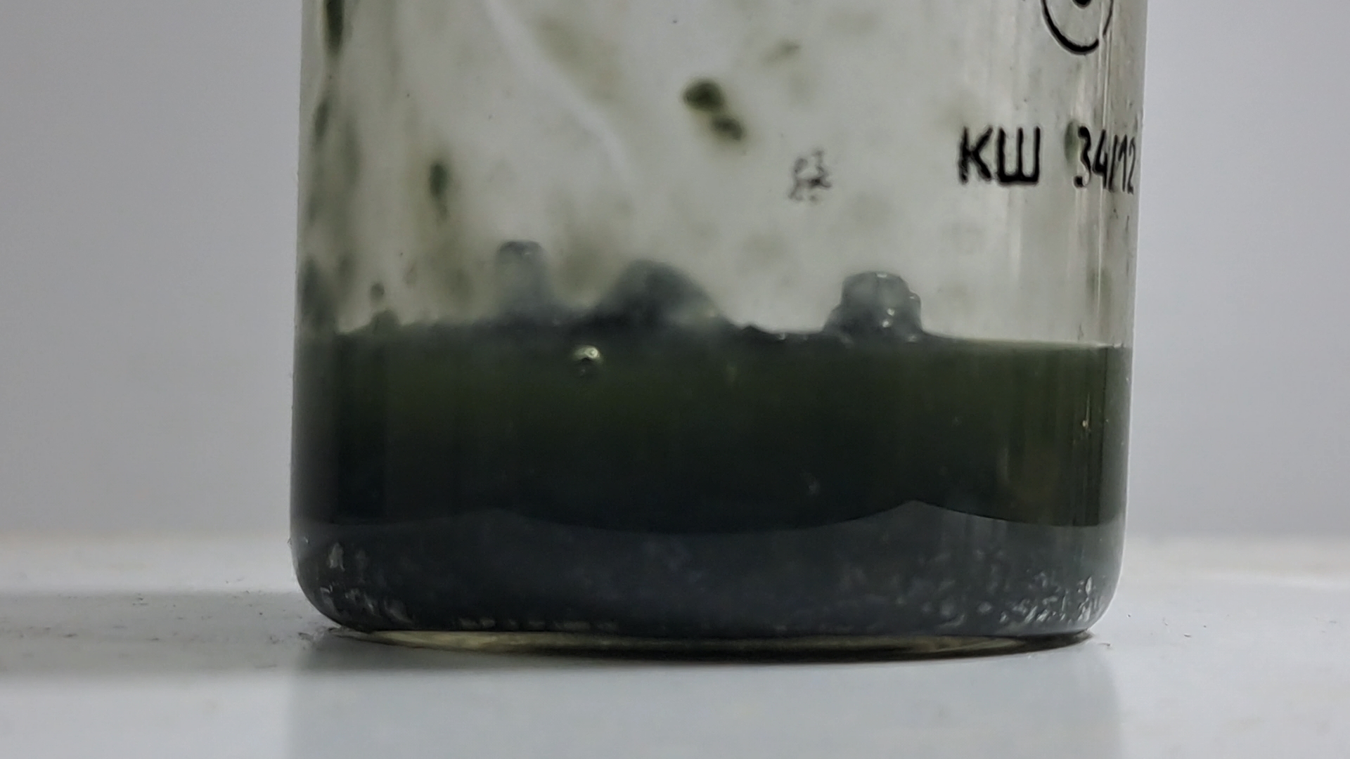 Nitrocellulose smokeless powder and methyl acetate