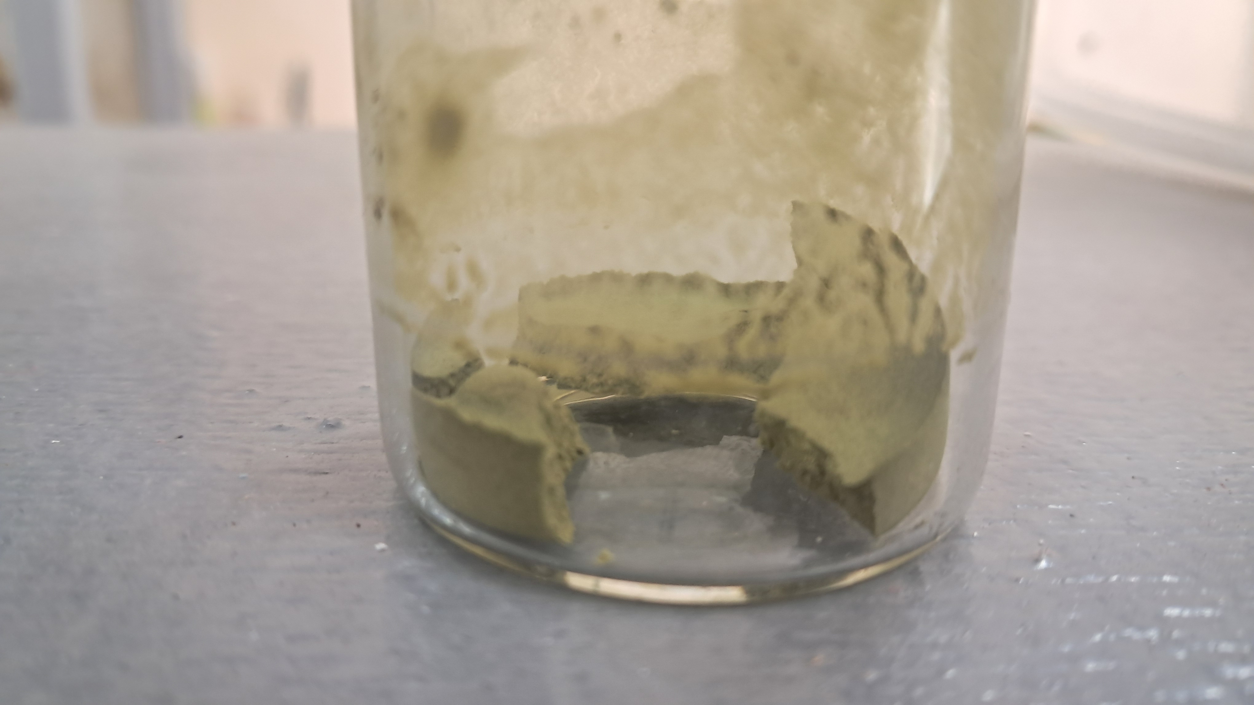 Nitrocellulose smokeless powder and methyl acetate