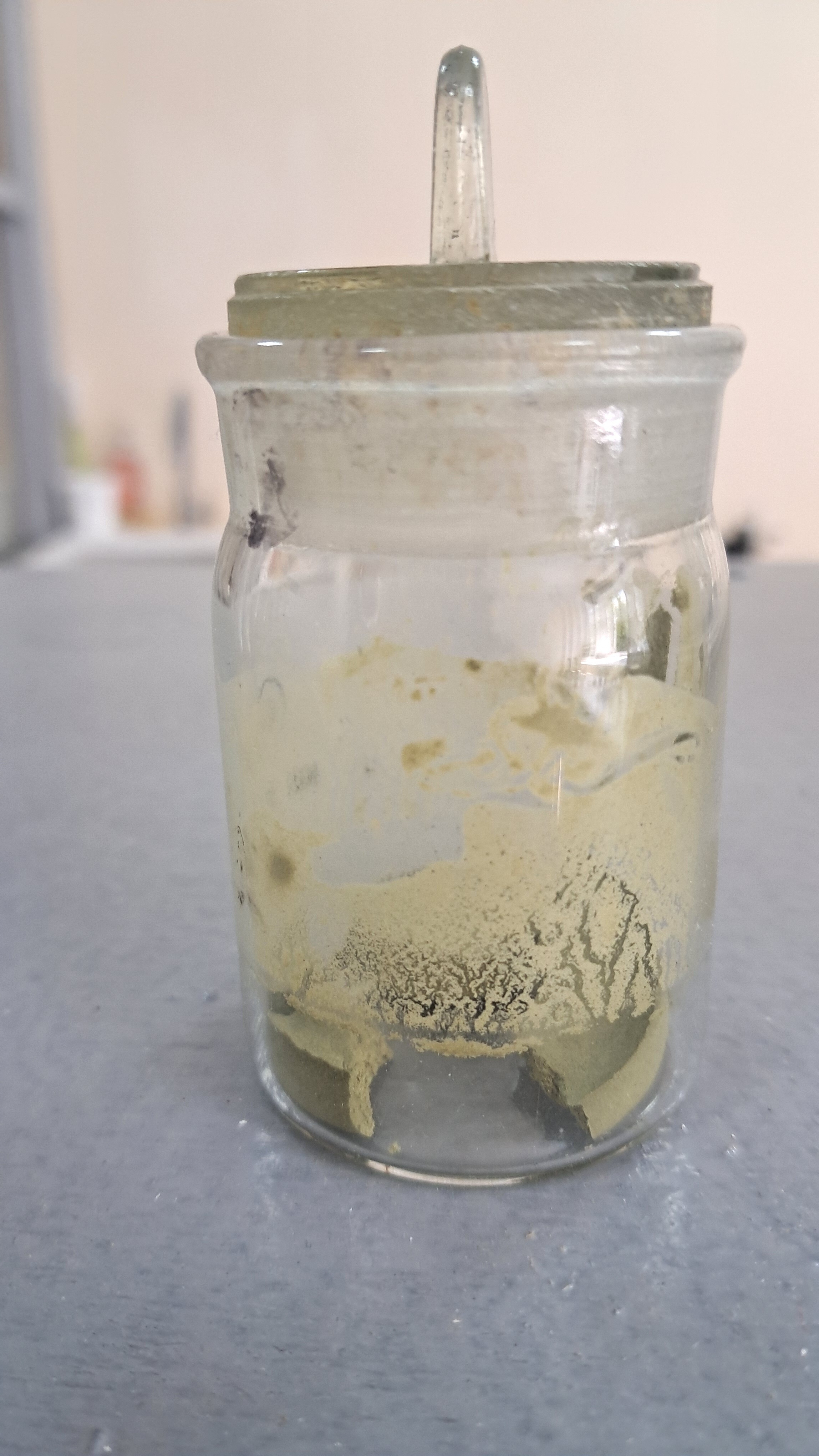 Nitrocellulose smokeless powder and methyl acetate