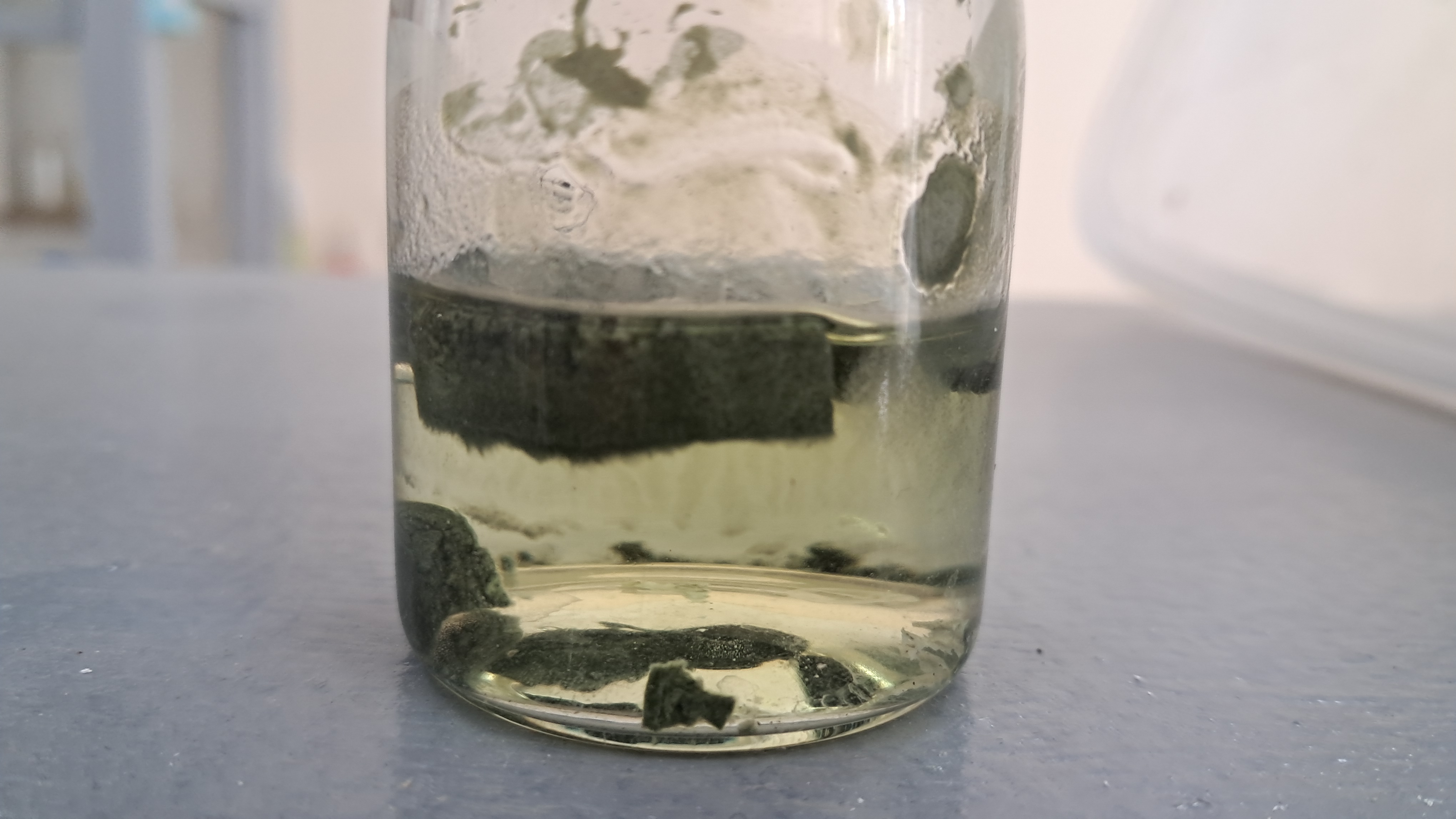 Nitrocellulose smokeless powder and methyl acetate