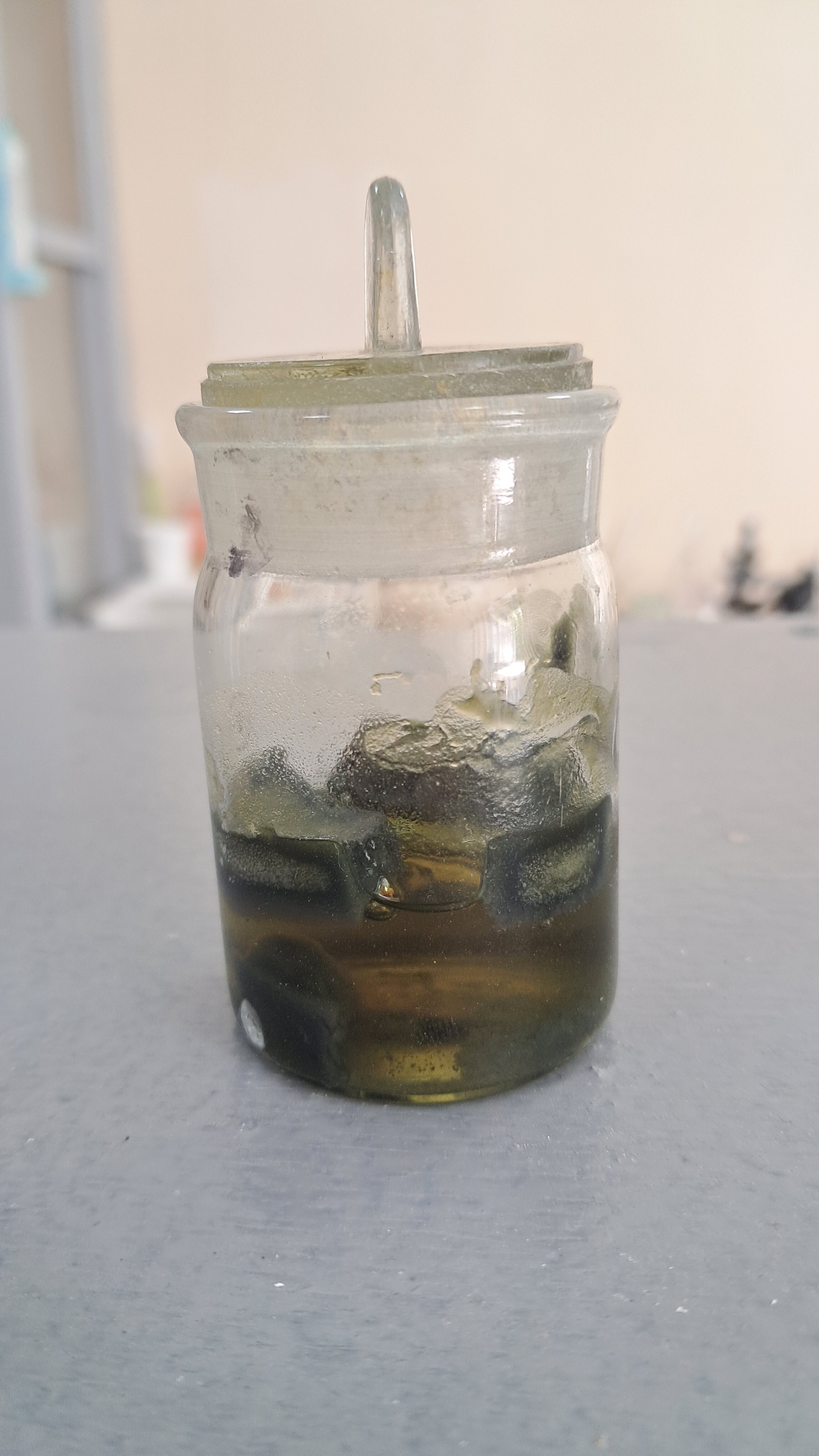 Nitrocellulose smokeless powder and methyl acetate