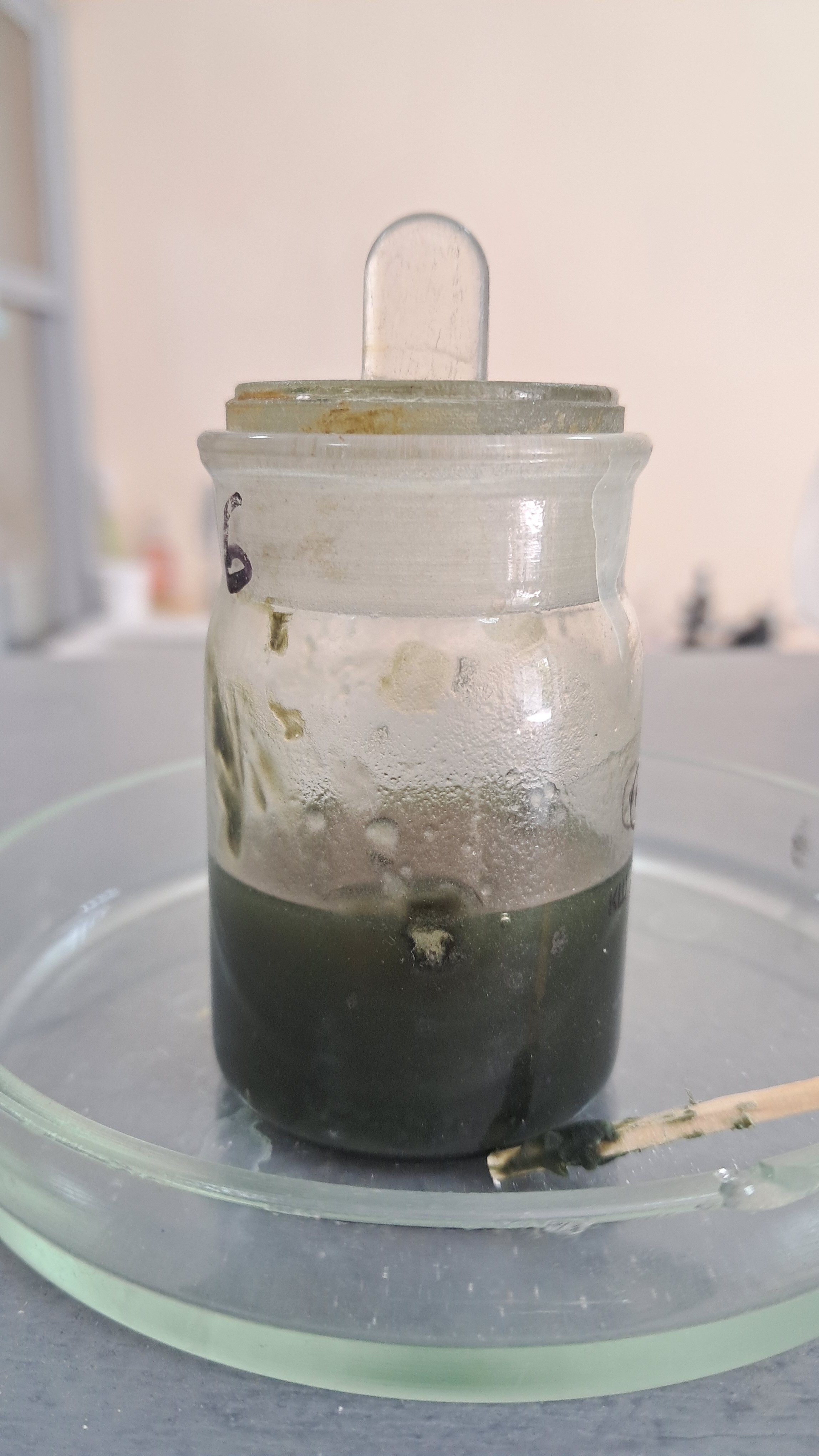 Nitrocellulose smokeless powder and methyl acetate