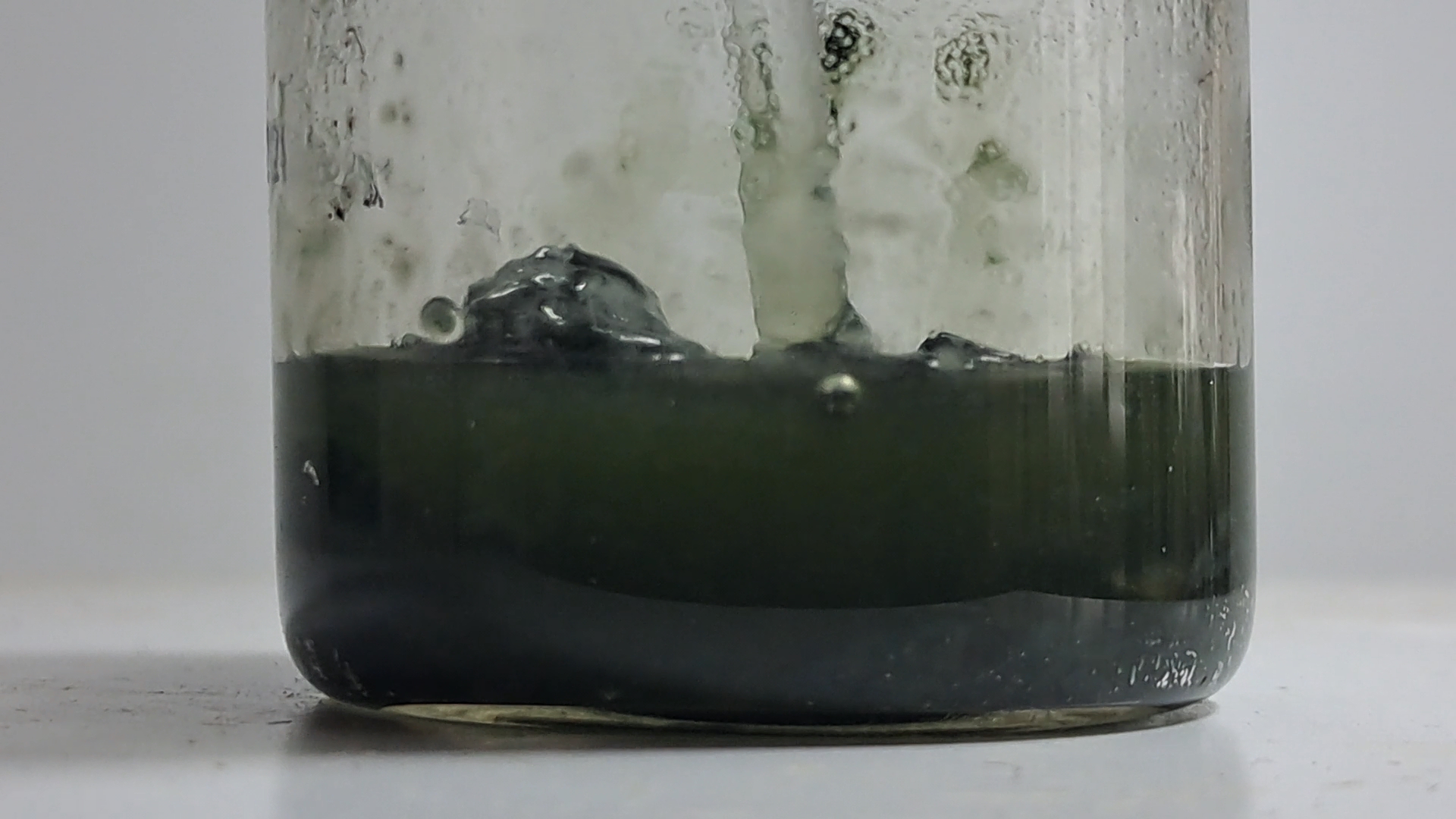 Nitrocellulose smokeless powder and methyl acetate