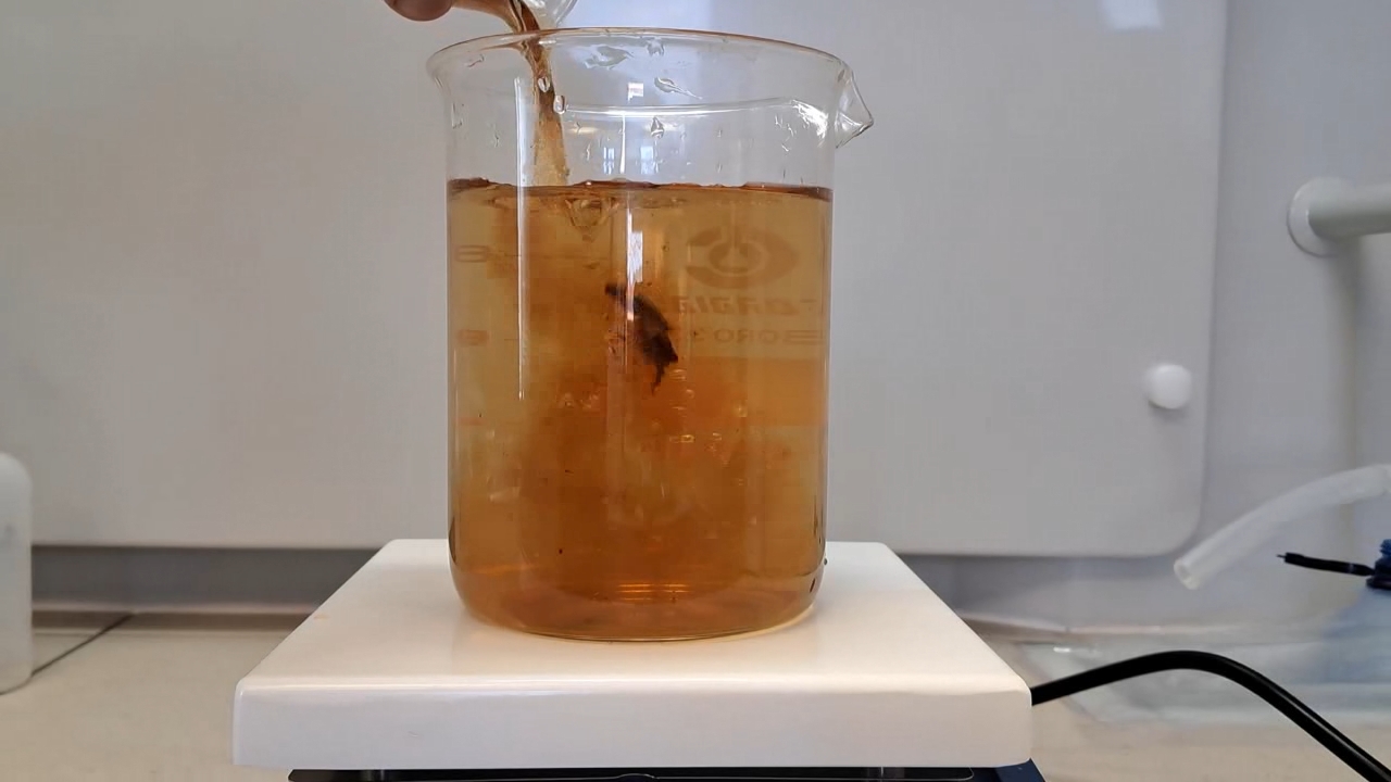 Tap Water, Deionized Water, and Black Tea
