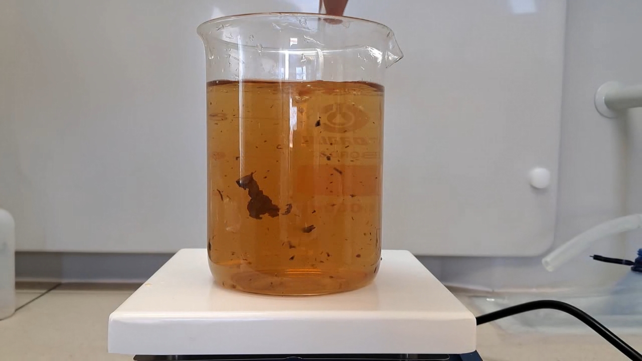 Tap Water, Deionized Water, and Black Tea