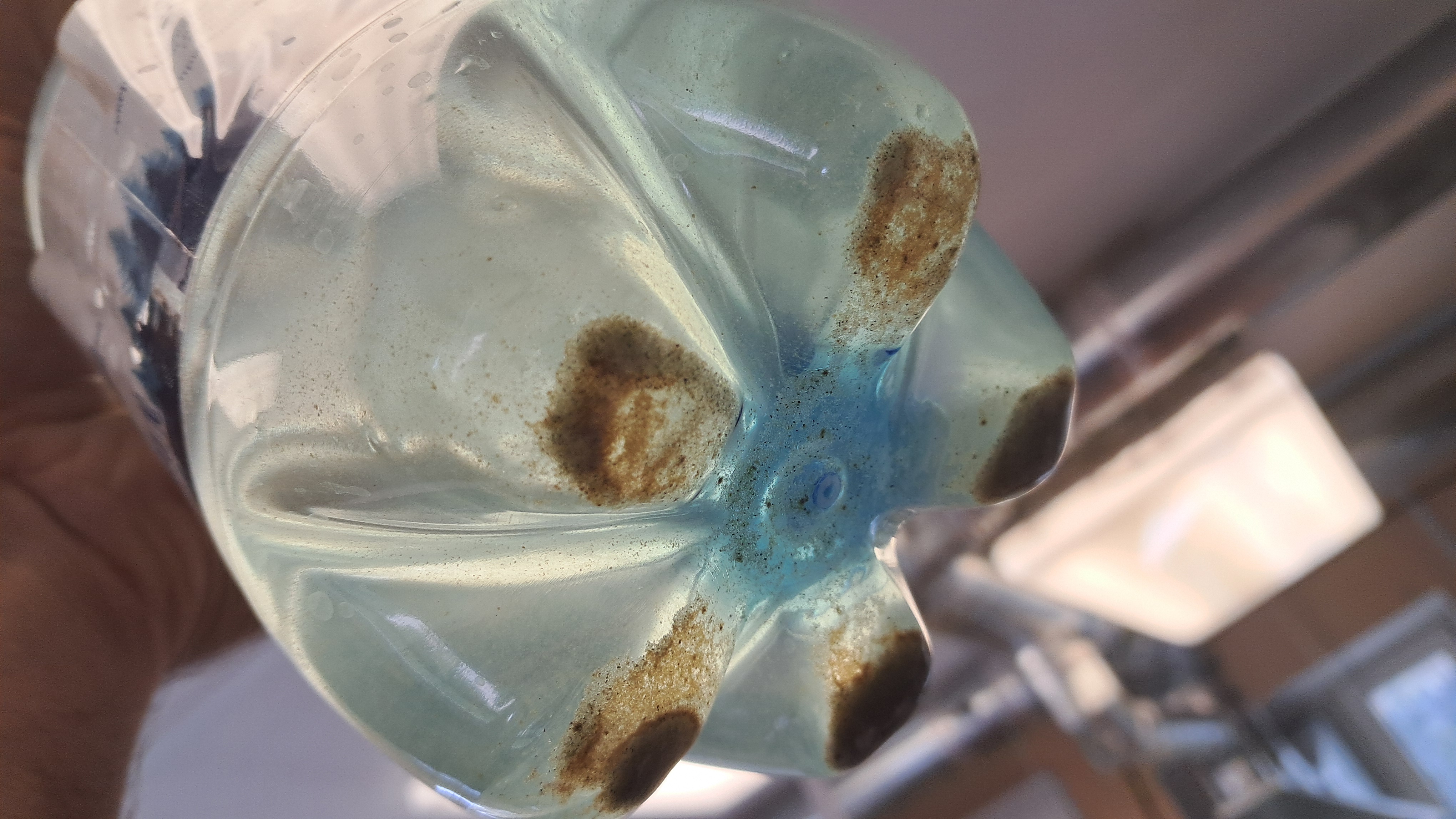 Tea in the New Laboratory and Water Quality