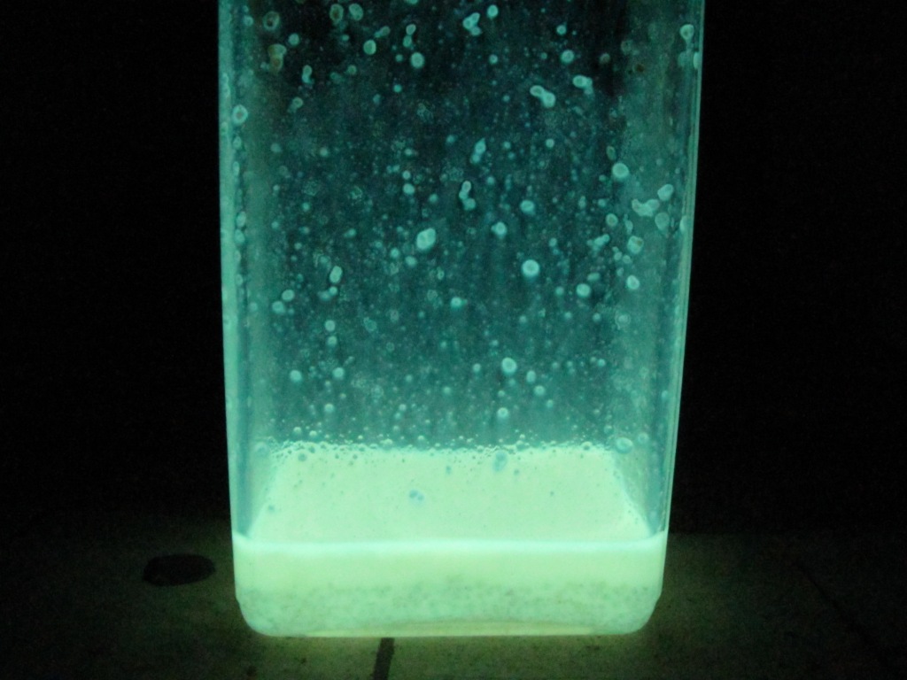     . Luminescence of Luminol [Glowing of Luminol Solution in Dimethyl Sulfoxide (DMSO)]