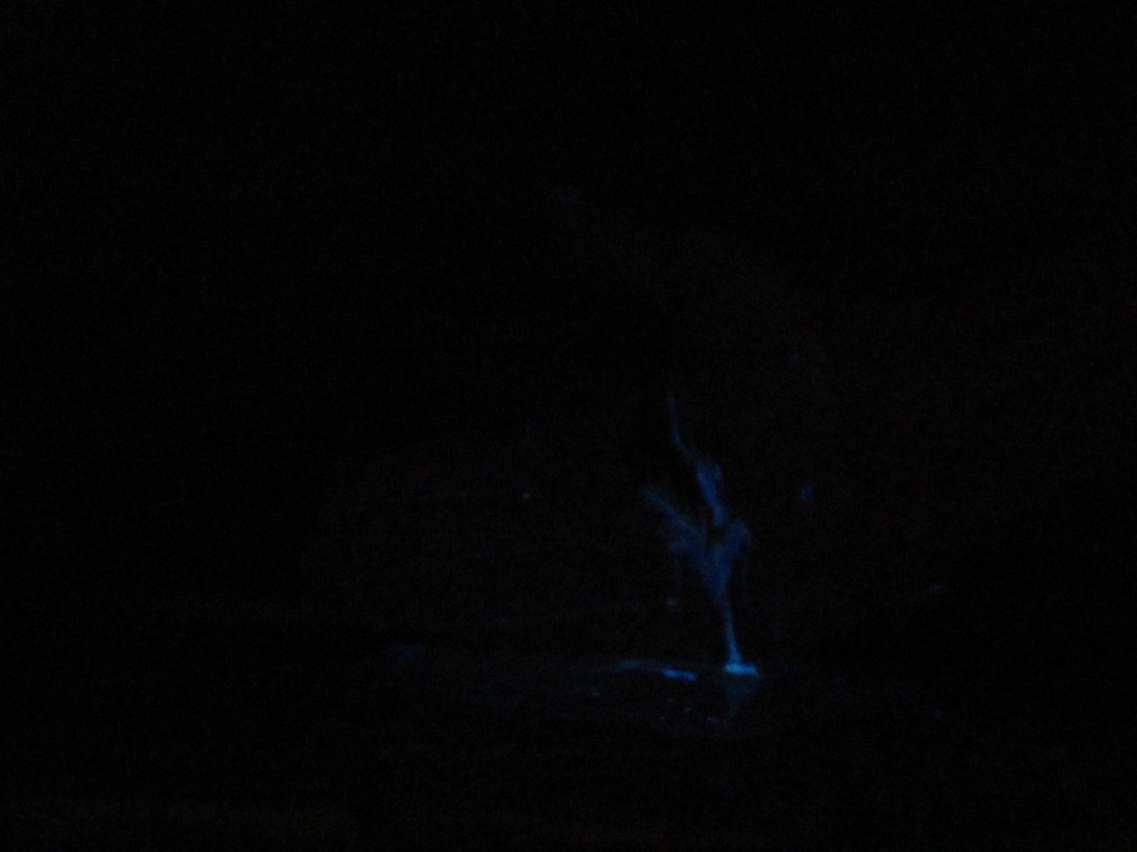  . Glowing Hand (Luminescence of Luminol)