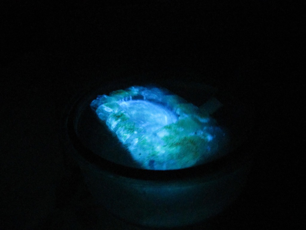   (). Glowing Iceberg (Luminescence of Luminol)