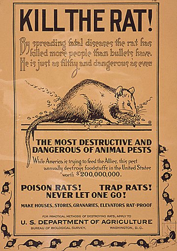 Долгое время сульфат таллия использовался для уничтожения крыс