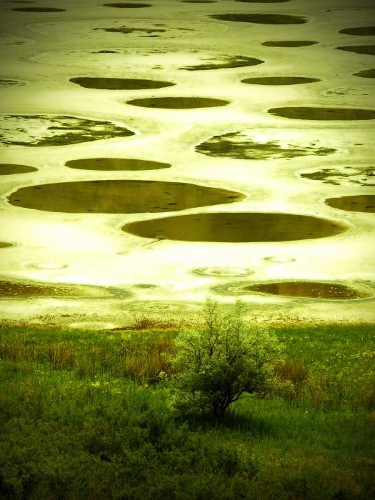 - - '' ''. Spotted Lake