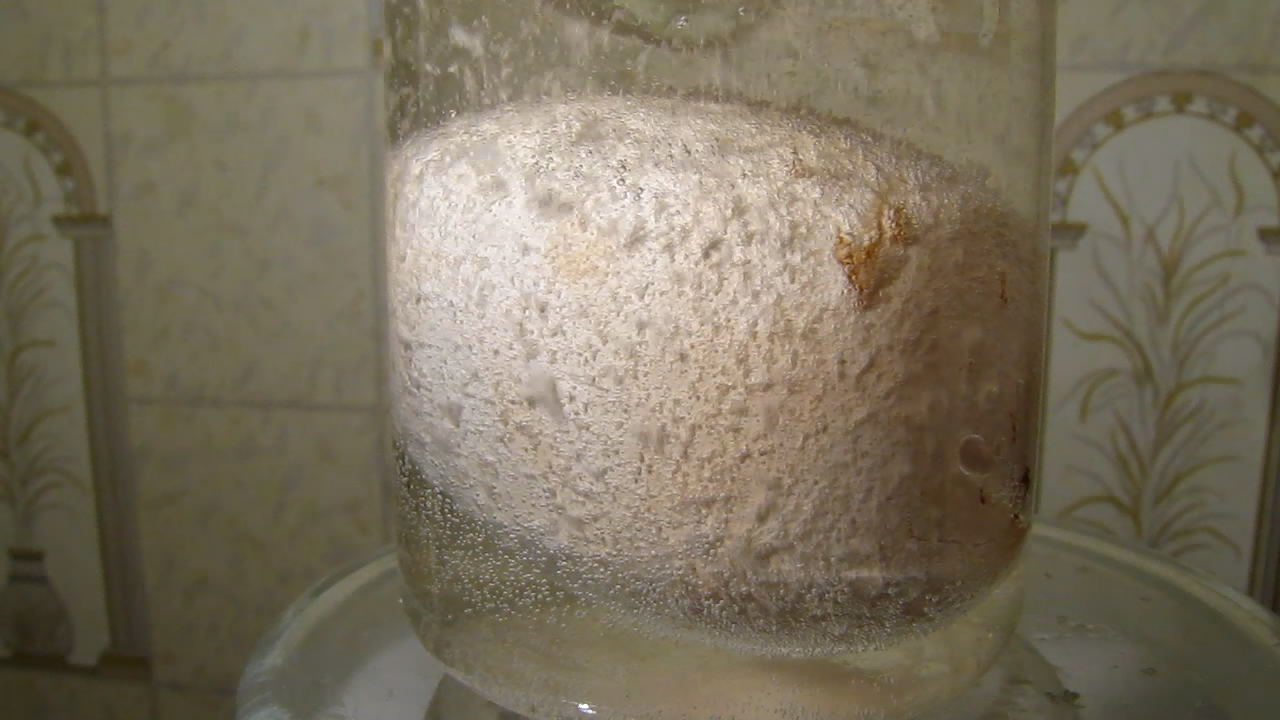     . Chicken egg and citric acid